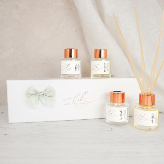Mini Diffuser Collection Gift Set