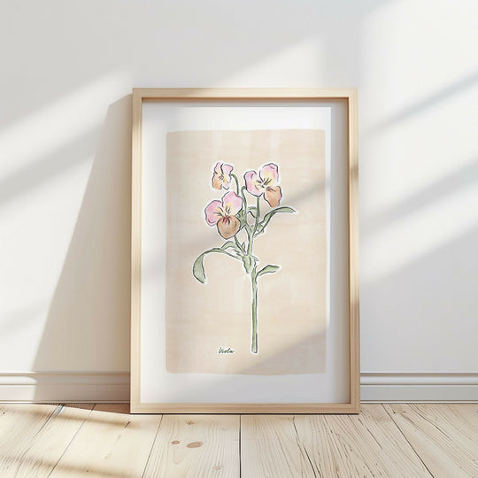 Viola Flower Illustration Print