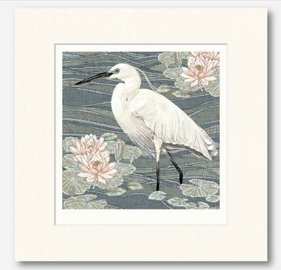 Little Egret - Signed and Mounted Giclée Art Print