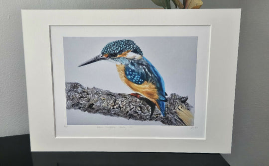 Kingfisher Print, Kelvin Kingfisher, limited edition mounted A4 size, vibrant blue and orange