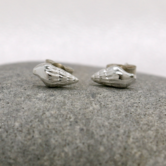 Silver seashell stud earrings