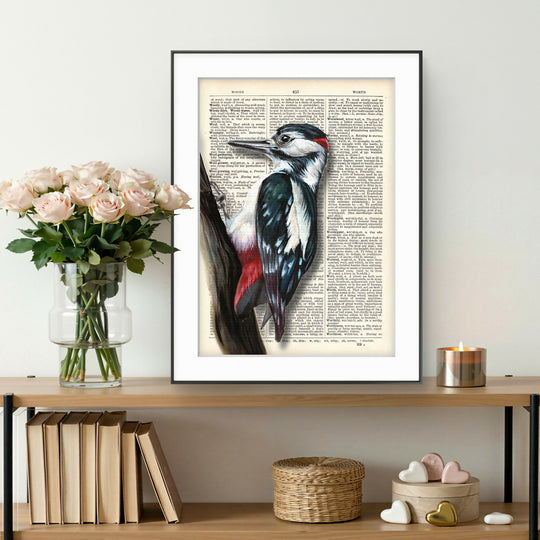 Woody - Woodpecker Print