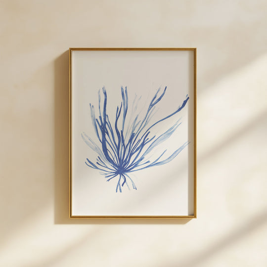 Grass Kelp | A4 | seaweed paper