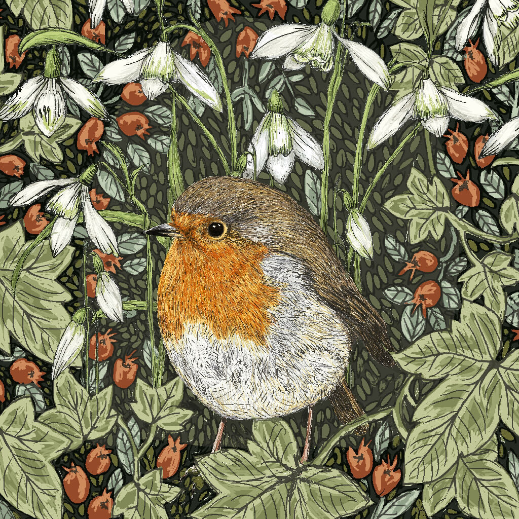 Robin and Snowdrop Signed and Mounted Giclée Art Print