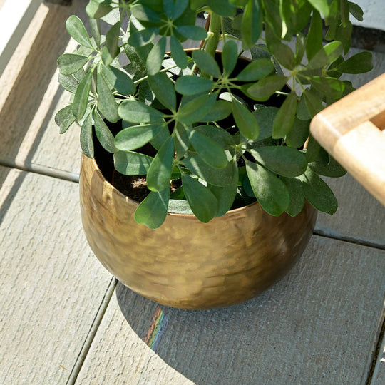 Matte Gold Brass Planter - Peetal