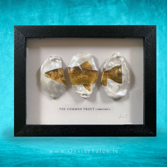 Trout Framed Oyster Shell Art