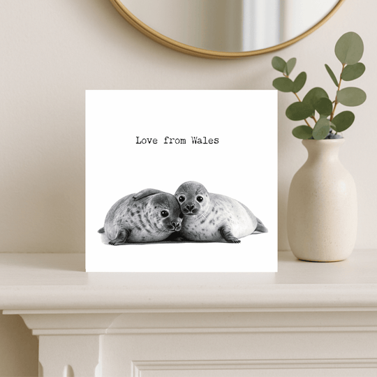 Love From Wales – Cute Seals Greeting Card
