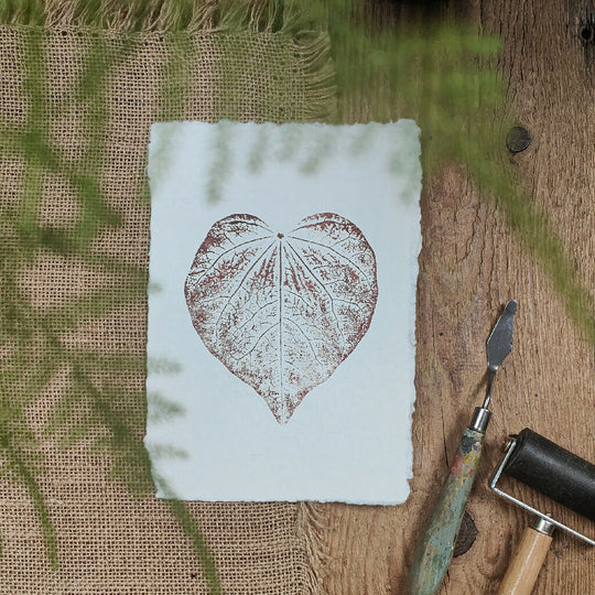 Cercis Canadensis Original Leaf Print in Rose Brown