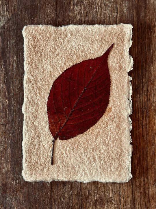 Vintage Style Rustic One Leaf Autumn Themed Timeless Collage