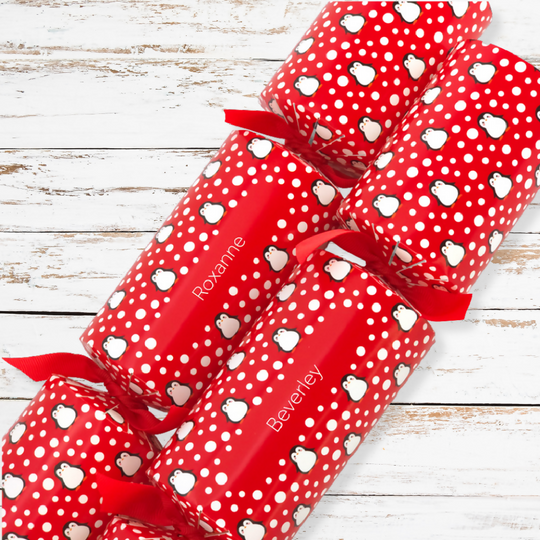 Personalised Cracker Making Craft Kit | Snowtime Penguin | Makes 4 or 6 Crackers