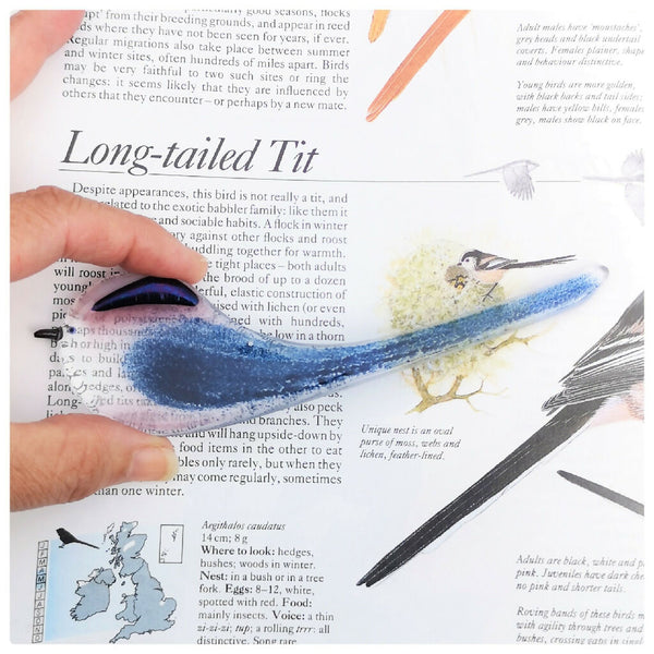 Long tailed-tit, a hanging glass bird decoration