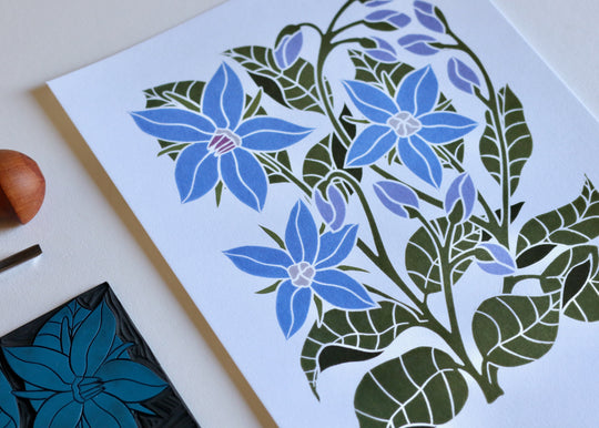Heritage Kitchen Garden - Borage Linocut Art | A5 or A4 Art Print on Cotton Paper