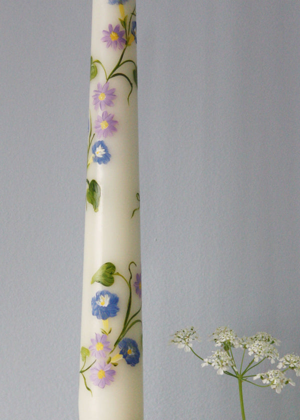 Birth flower September - Morning glory & Aster