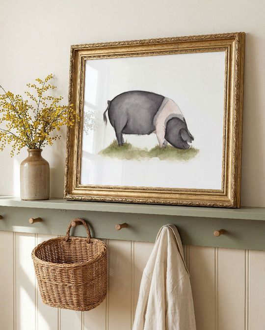 Saddleback Pig Print
