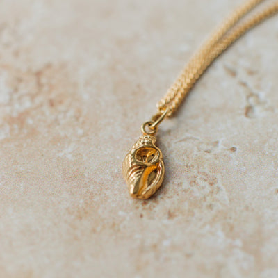 Gold Dinky Shell Necklace