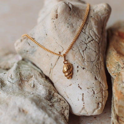 Gold Dainty Shell Necklace