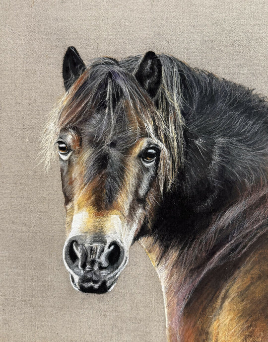 Exmoor Pony Original Artwork