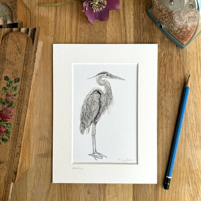 Heron Art Print Size 6" x 8" ~ Choice of 2 Designs