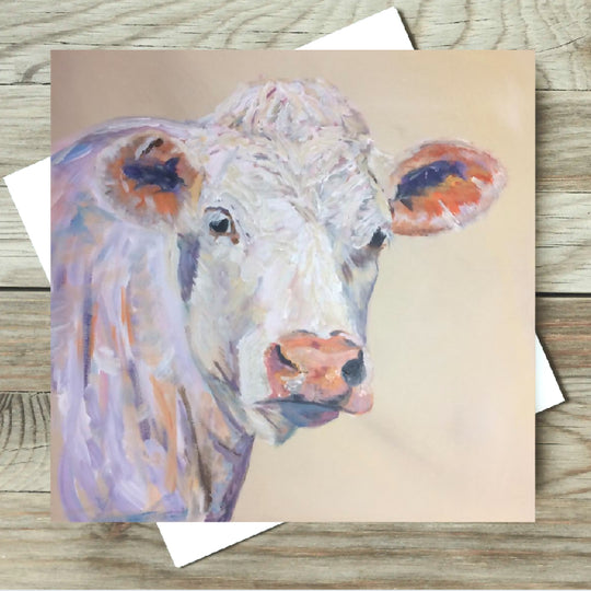 Charolais Cow Greeting Card