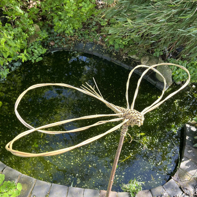 Willow Dragonfly Kit