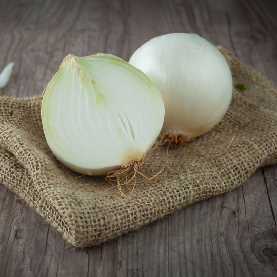 Onion Plants, 'White Bulb', 36 x Full Plant Pack