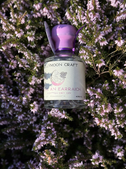 Solas An Earraich 20cl - Crisp citrus flavours with a hint of spice Craft Gin