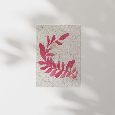 Kelp Coral | A5 | seaweed paper