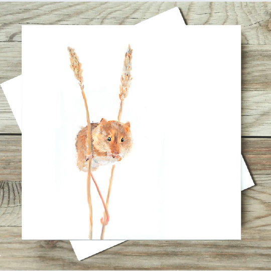Harvest Mouse Card