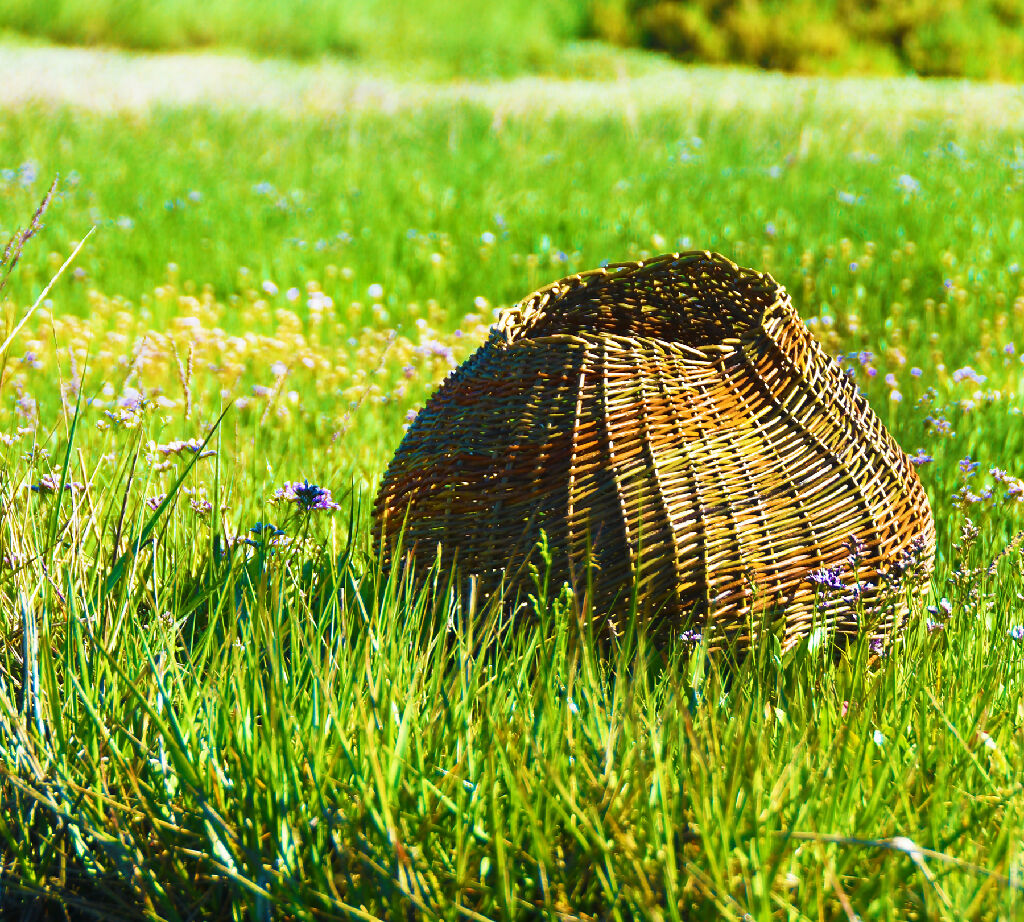 Organic, Sculptural Basket in Mixed Willow