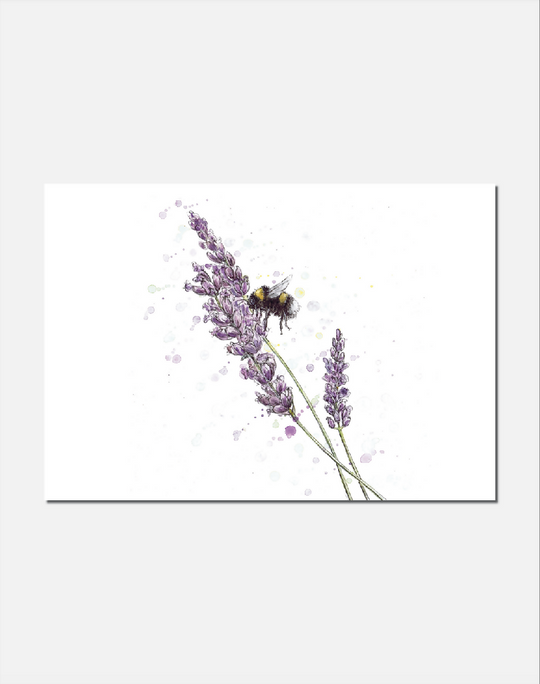 Lavender Haze | Signed Limited Edition Print
