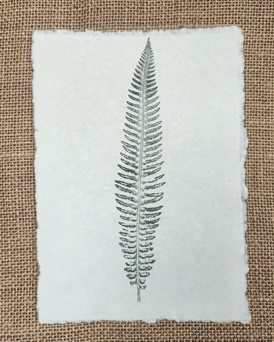 Set of 3 Original Fern Leaf Prints