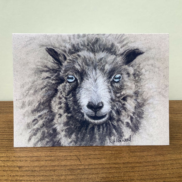 Baa-bara Greeting Card