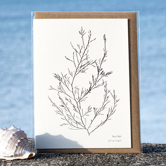 Seaweed Greeting Card - Sea Oak