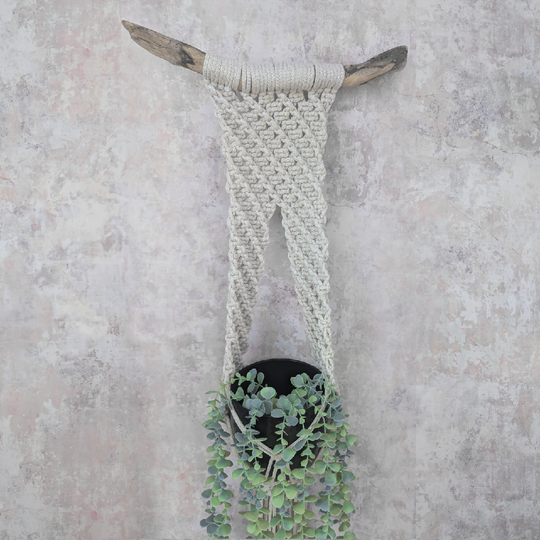 Macrame Wall Hanging Plant Display
