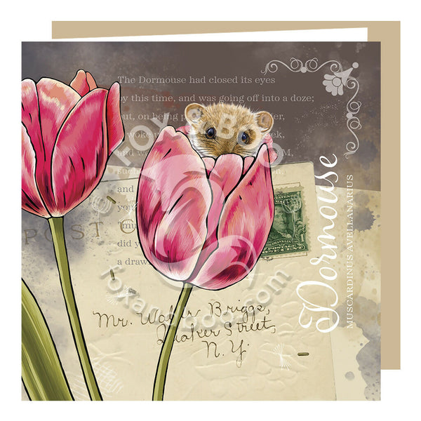 Greeting Card designed by Fox and Boo, from the Victorias's Attic Collection, featuring a dormouse in a tulip against a collage backdrop of old postcards, stamps and prose.