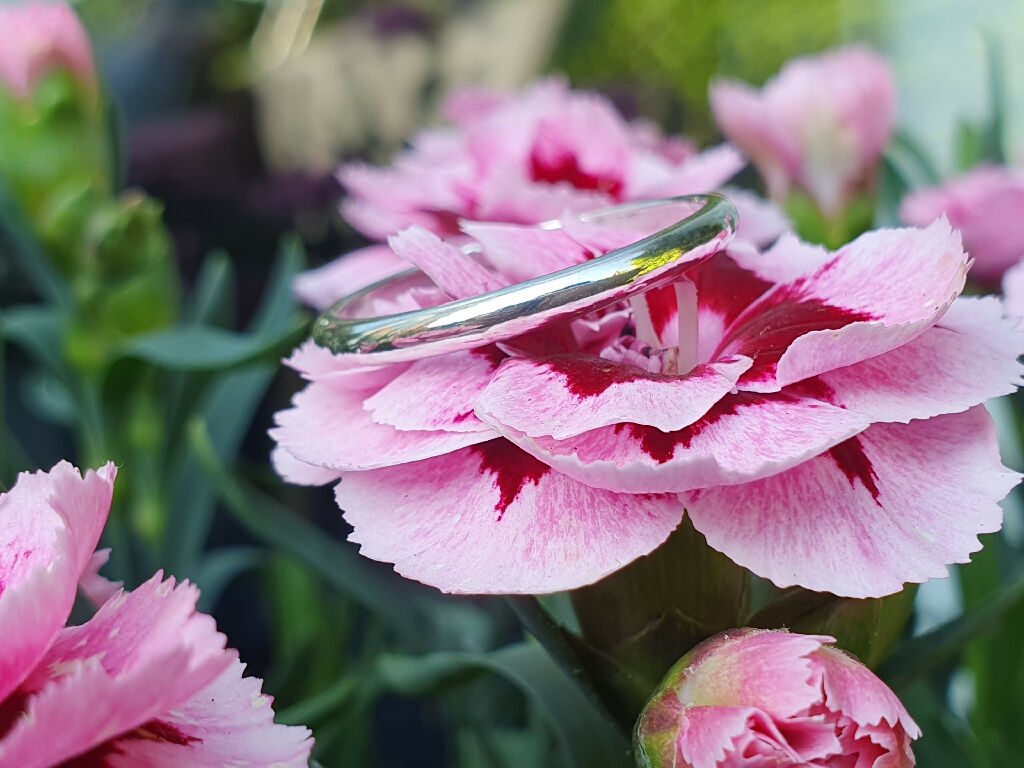 The Serenity | Sterling Silver Ring