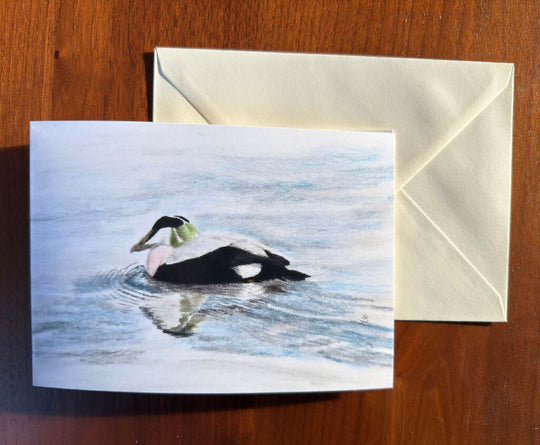 Eider duck Christmas card, 7x5inches in black, white, blue, pink and green