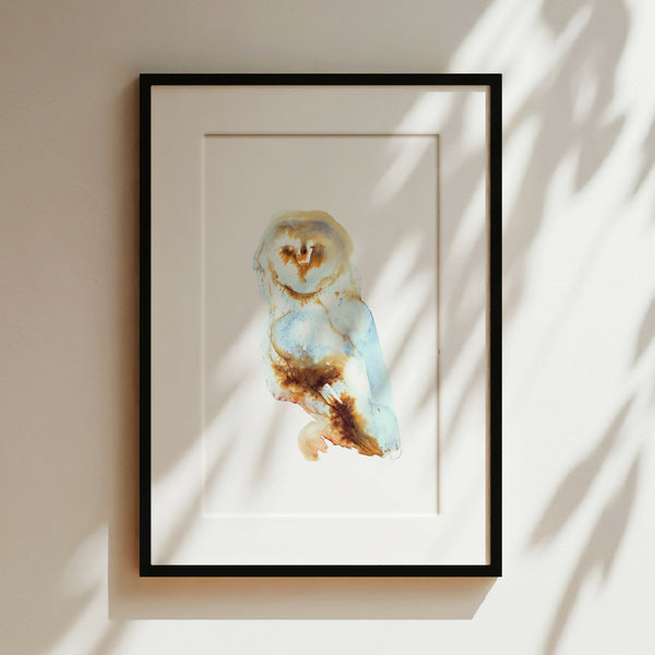 Barn Owl Ink & Watercolour Giclée Fine Art Print