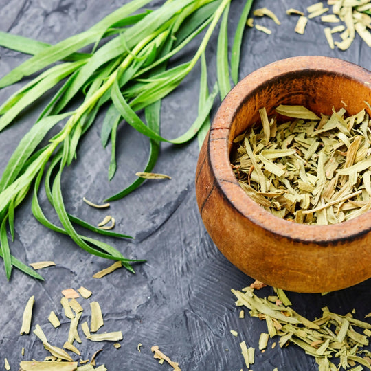 Tarragon Plants, Full Plants in 9cm Pots