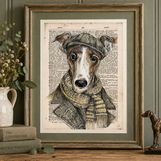 The Country Gent – Whippet Art Print