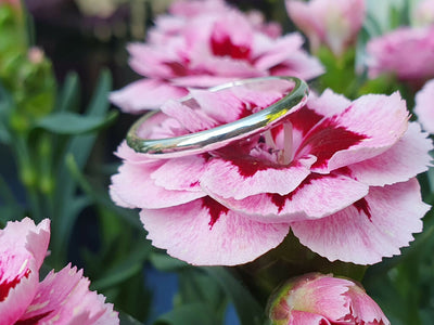 The Serenity | Sterling Silver Ring