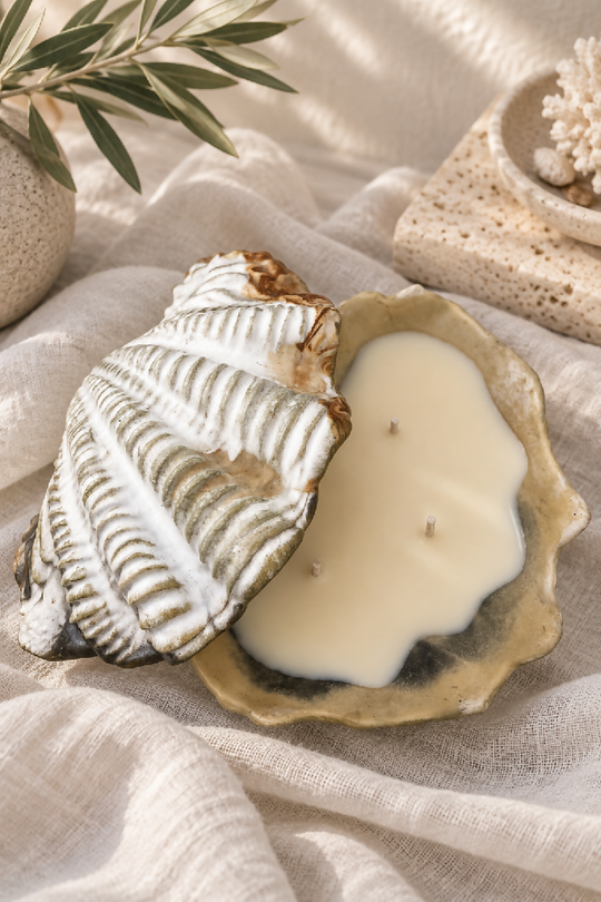 Handmade Cream and Gold Painted Giant Clam Shell Candle fragranced with Christmas Tree - Reusable