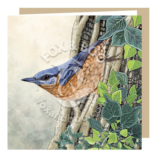 Greeting card by Fox and Boo featuring a nuthatch on a tree trunk
