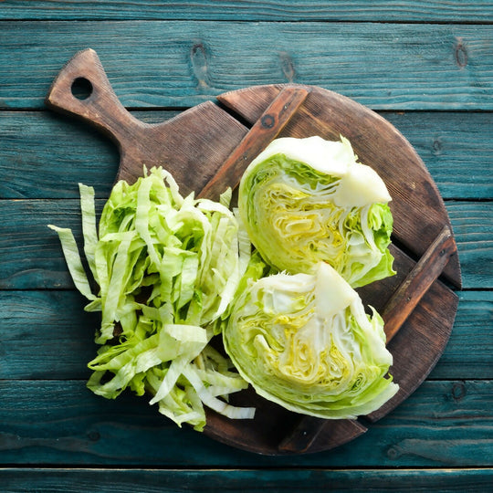 Lettuce Plants, 'Iceberg', 12 x Full Plant Pack