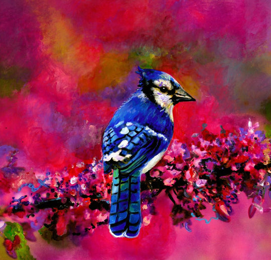 Sweet Blue Jay