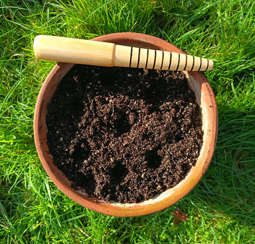 Garden Dibber - Cherry Wood - Marked in Centimeters