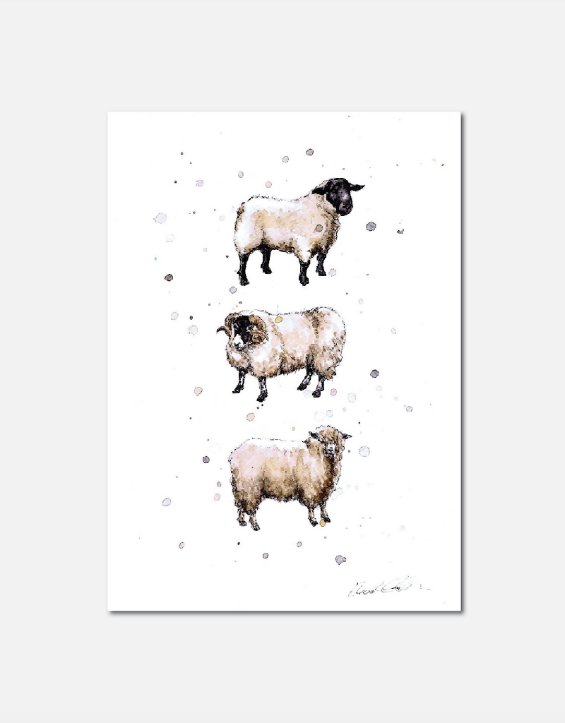 Native Sheep | Signed Limited Edition Print – Country Living Marketplace