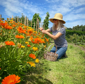 Cherry Tree Naturals