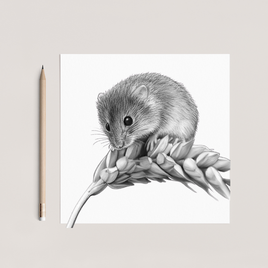Harvest Mouse Hand Drawn Greeting Card – Cute Wildlife Illustration Countryside Card