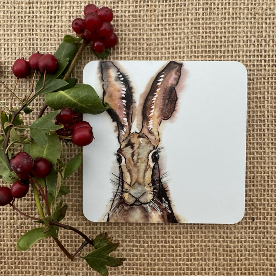 Hare Coaster